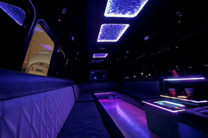 30 Passenger Party Bus thumbnail 3